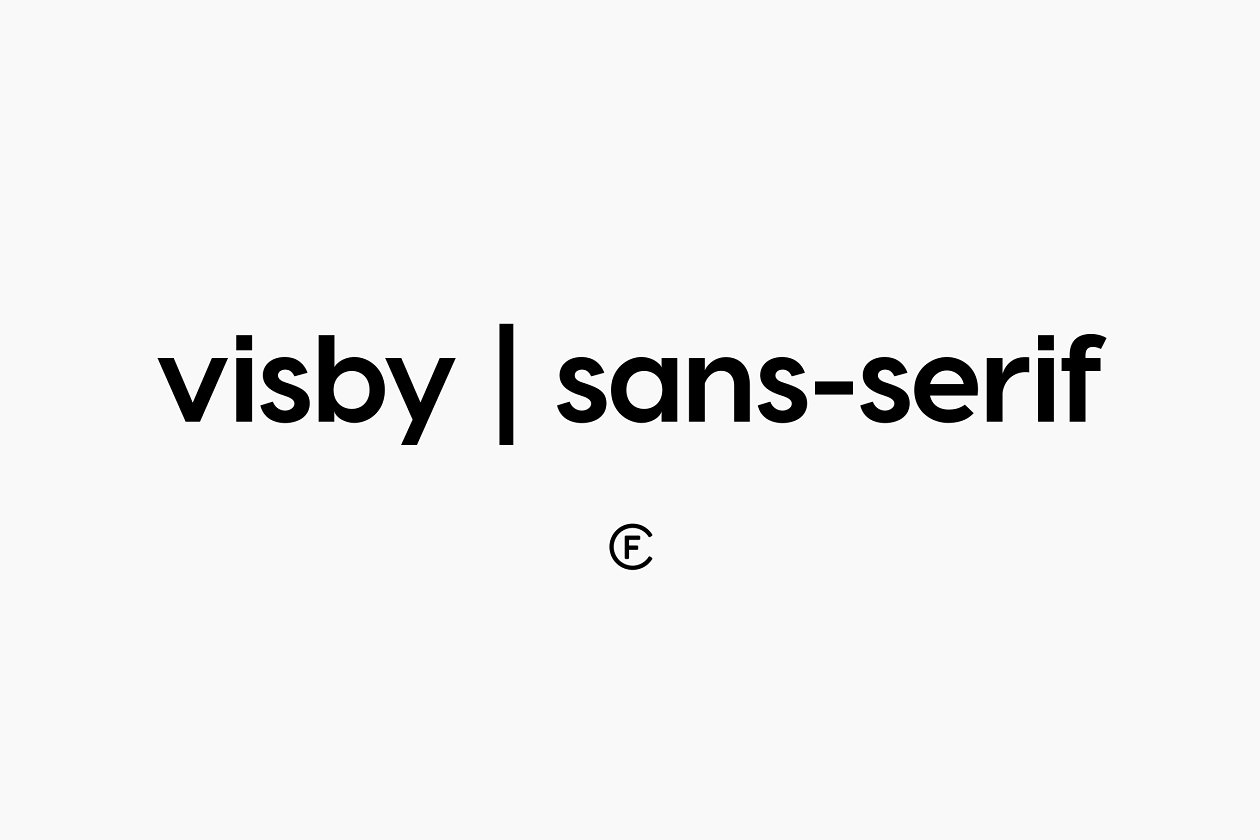 无衬线英文字体 Visby CF Geometric Sans Font插图