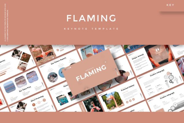 市场调研报告Keynote演示文稿设计模板 Flaming – Keynote Template
