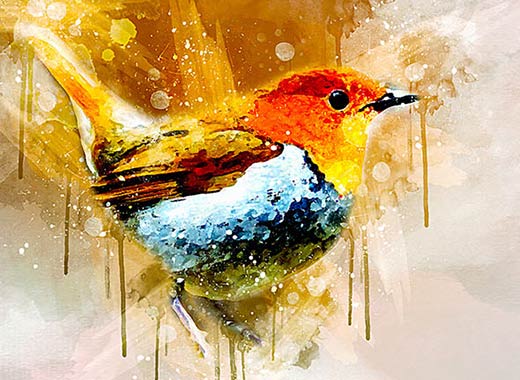 酷炫水彩艺术处理的PS动作 Watercolor Art Photoshop Action [abr,pat,atn]