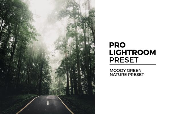 户外风景照片后期处理LR预设 Moody Green Nature Preset