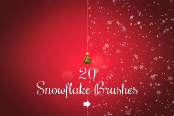 20款圣诞节、冬季雪花笔刷合集 20 Snowflake brushes