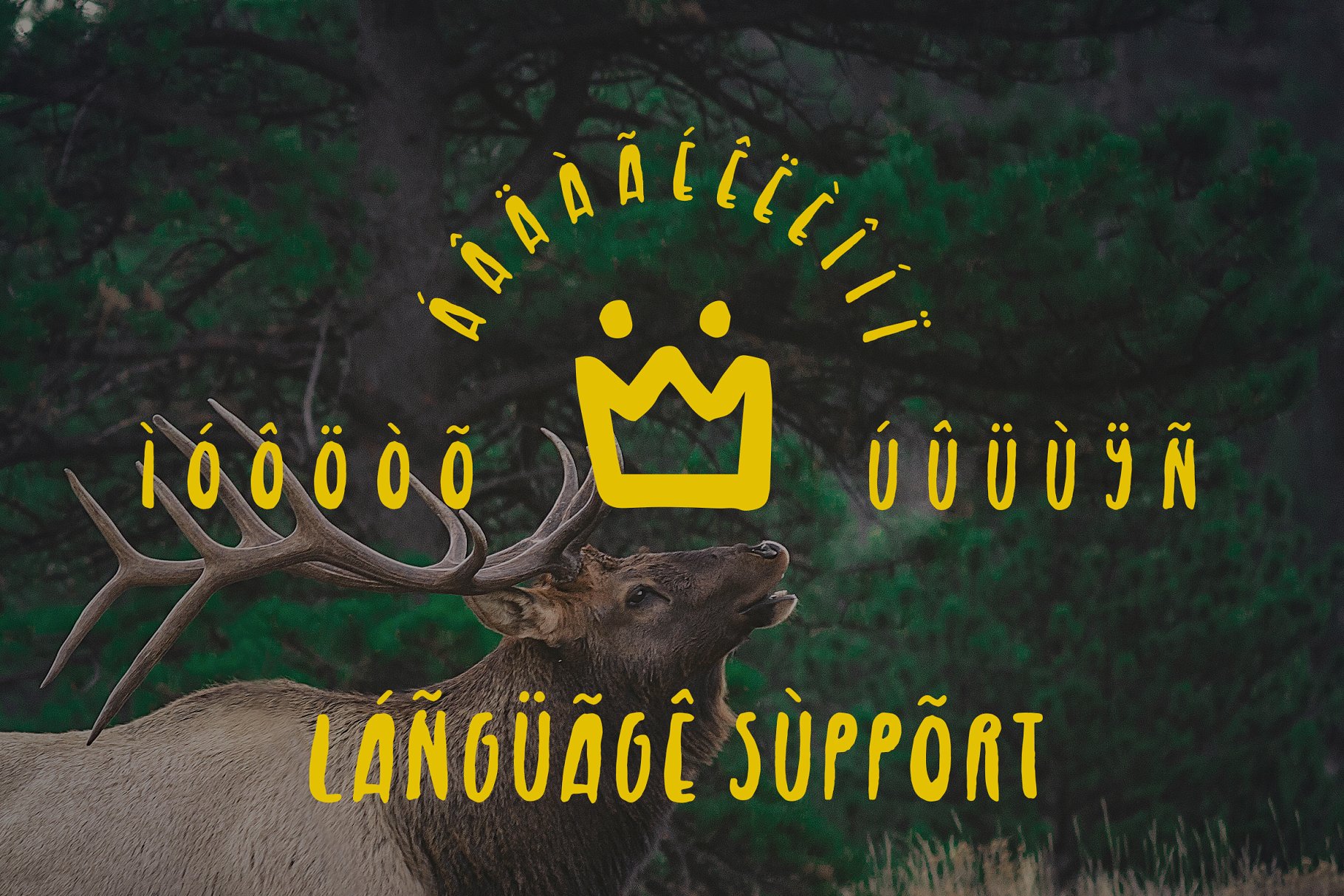 无衬线英文书法字体 Royal Elk Font插图(4)