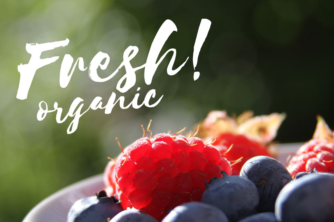 手写英文字体包下载 20 Whopping Fonts插图(2)