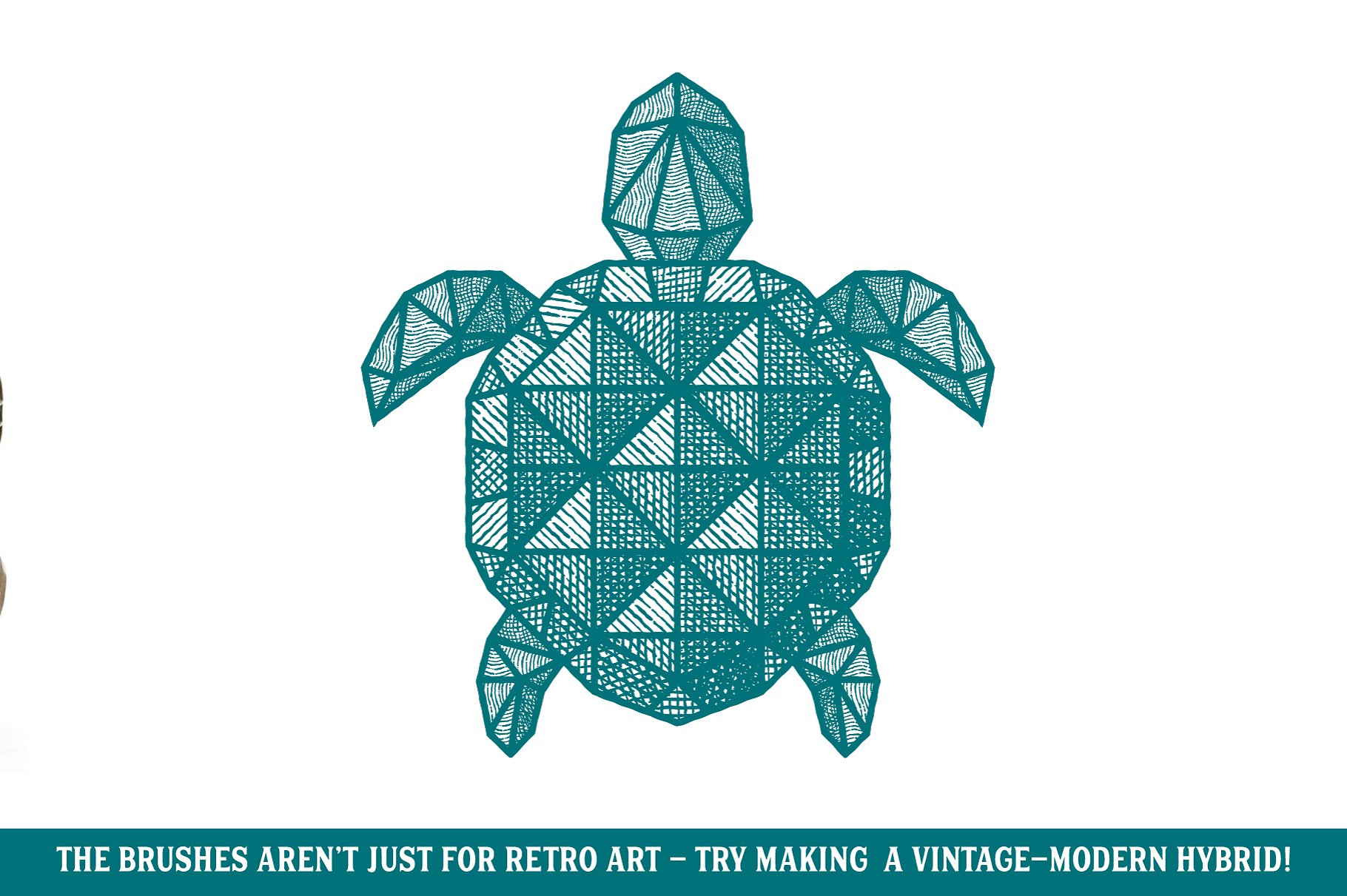 复古画笔线条艺术AI笔刷 Finest Vintage – Affinity Brushes插图(7)