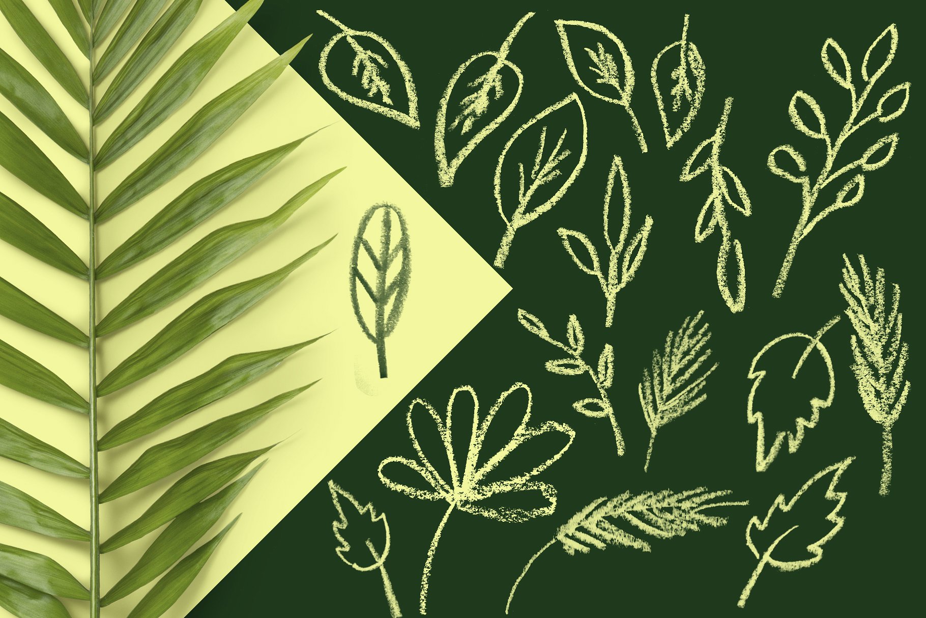 趣味的蜡笔PS笔刷下载 Scribble-PS Brushes [abr]插图(2)