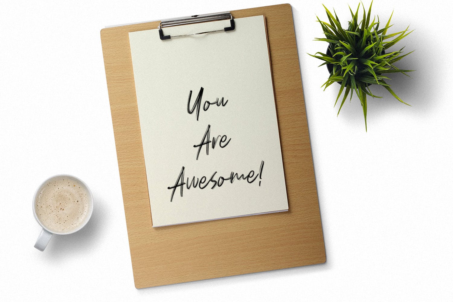 干笔刷英文画笔SVG字体下载 Polandic SVG Brush Font插图(4)