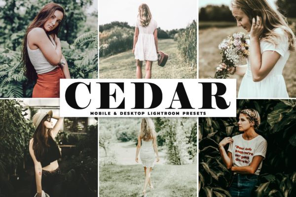 户外摄影图片暖调色滤镜LR预设下载 Cedar Mobile &amp; Desktop Lightroom Presets