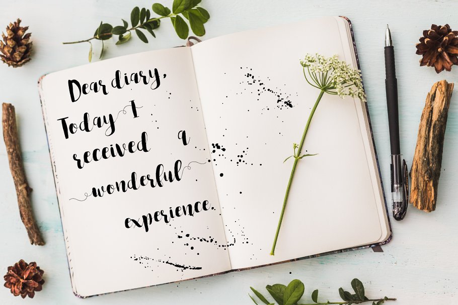 可爱优雅风格英文手写字体 Spelling Night Script Font插图(2)