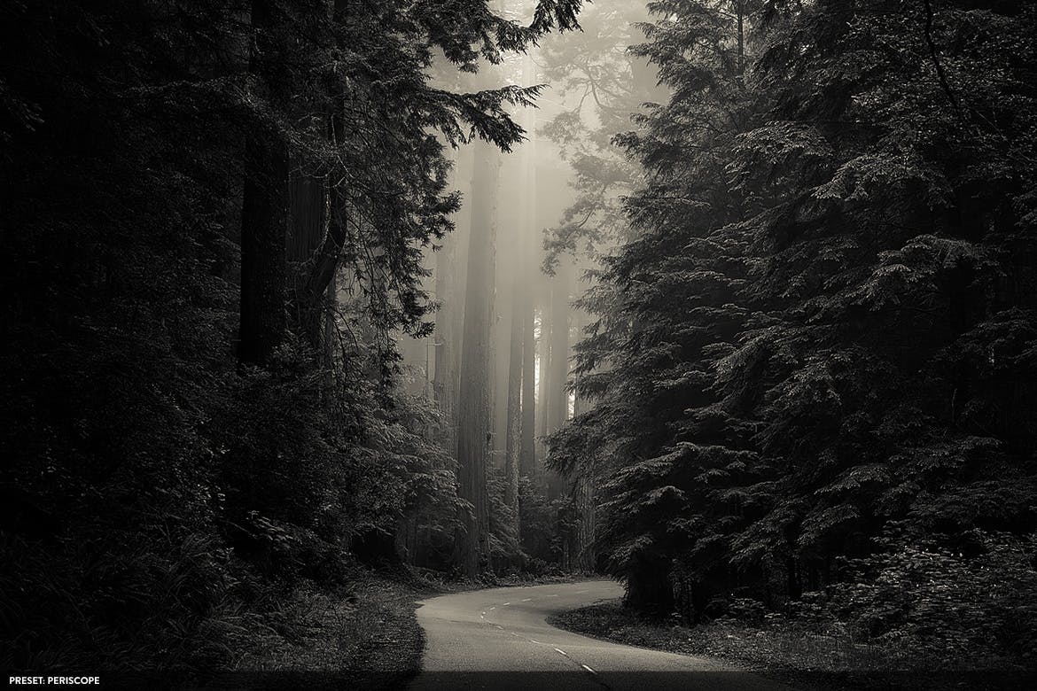 20款摄影大师级别黑白色调风格生成PS预设v3 Monochromatic Vol. 3 – 20 Photoshop Presets插图(2)