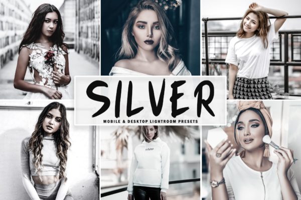 银色调滤镜专业Lightroom调色预设 Silver Mobile &amp; Desktop Lightroom Presets