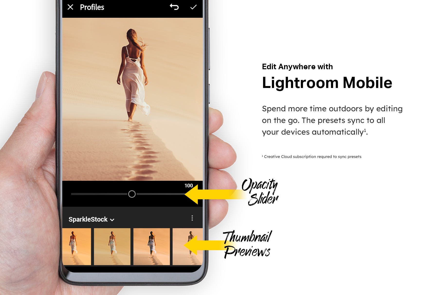 50款沙漠风景摄影调色滤镜素材库精选LR预设 50 Sahara Lightroom Presets and LUTs插图(6)