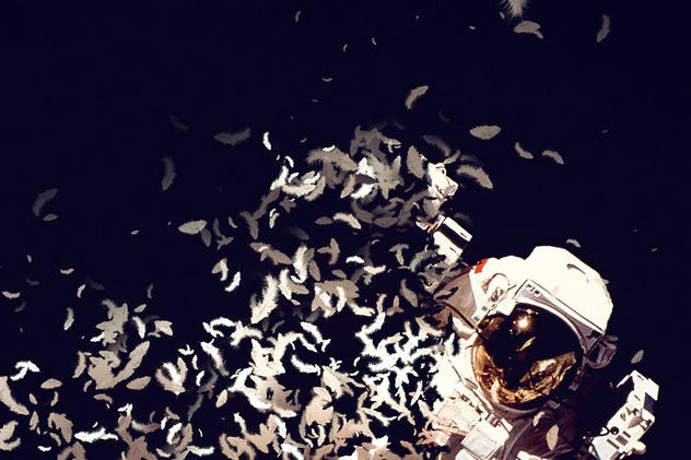 羽毛飘舞类化蝶特效PS动作 Feathers Photoshop Action插图(11)