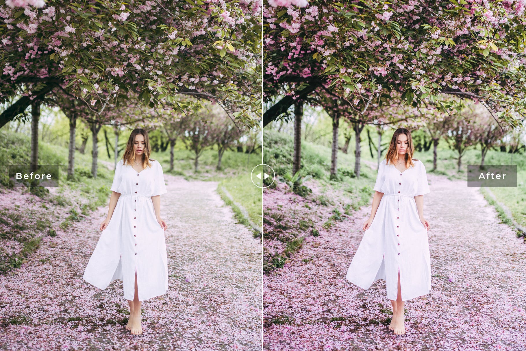 低饱和度柔和色调照片调色滤镜素材库精选LR预设 Sakura Mobile & Desktop Lightroom Presets插图(5)