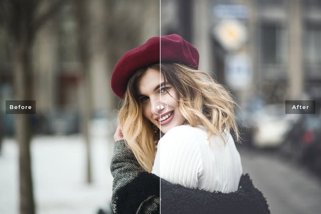 专业影楼照片处理调色滤镜LR预设v2 Pro Portrait Lightroom Presets Ver. 2插图(2)