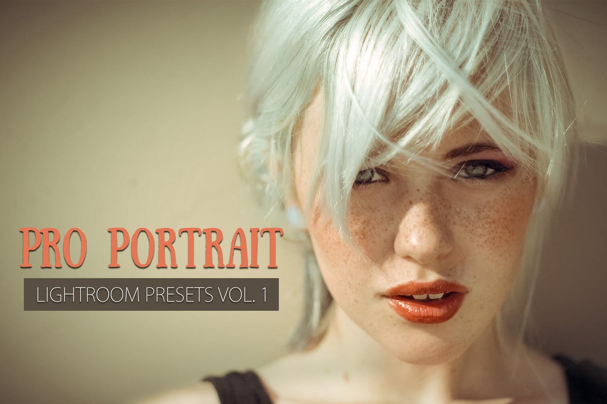 10款人像摄影后期调色滤镜LR预设 10 Portrait Lightroom Presets Ver. 1插图
