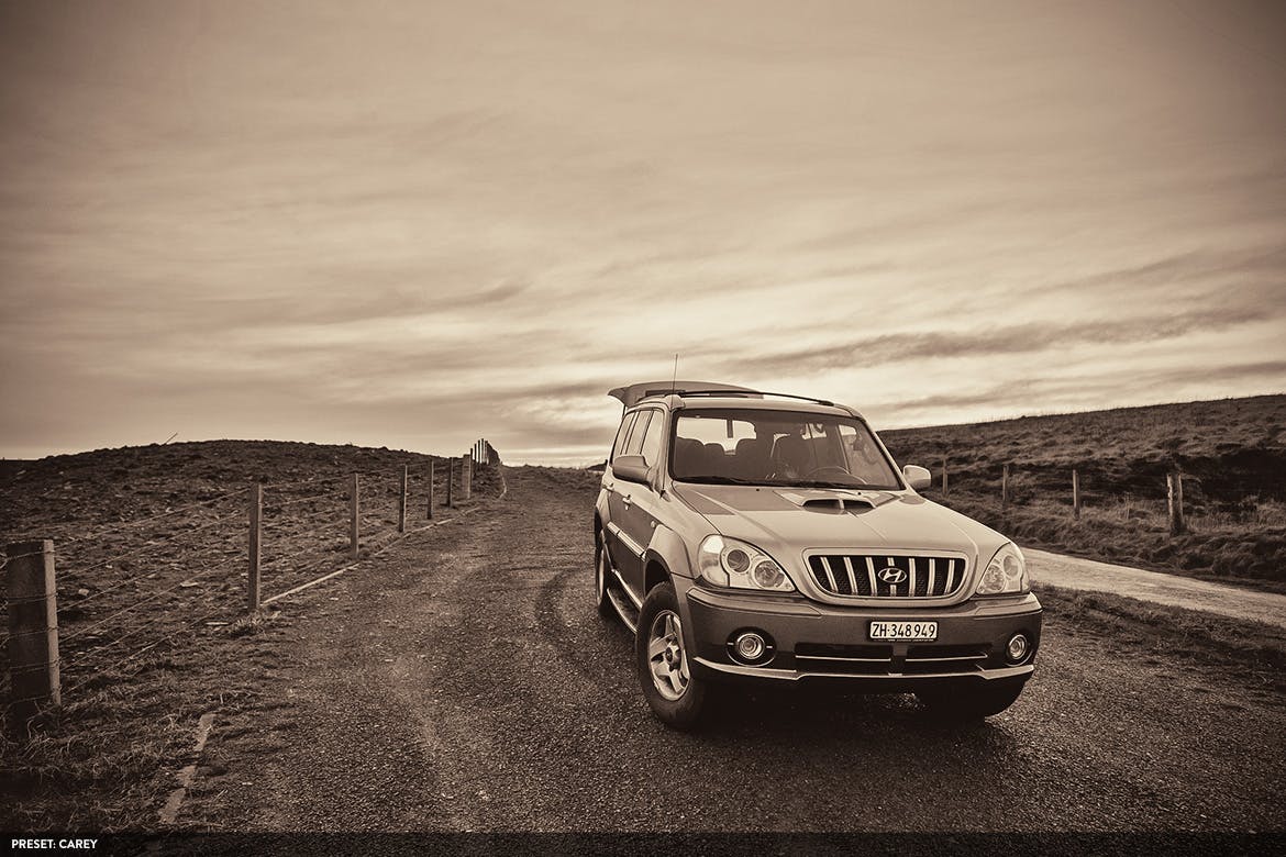 20款摄影大师级别黑白色调风格生成PS预设v2 Monochromatic Vol. 2 – 20 Photoshop Presets插图(2)