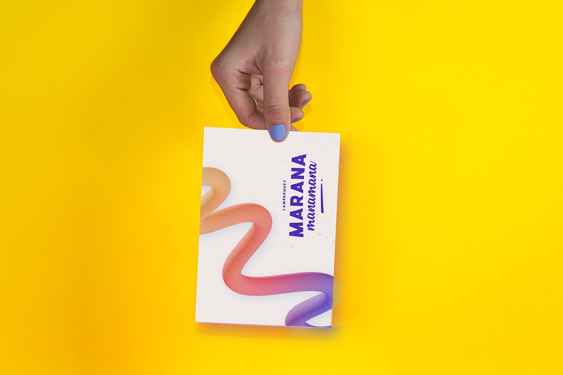 专业英文字体家族 Marana Font Family（TyfoMono 出品）插图(2)