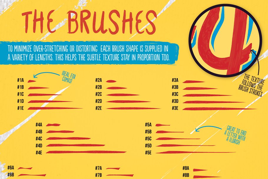 手写字母AI笔刷 Hand Lettering Brushes插图(5)