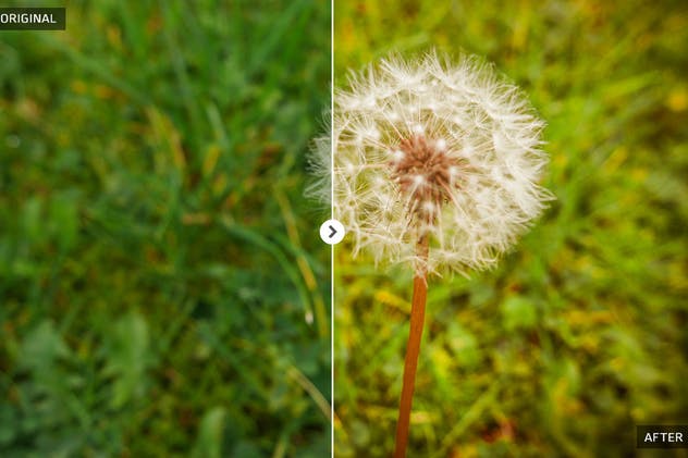 春季风景人像照片后期处理LR调色滤镜 Spring Lightroom Presets插图(9)
