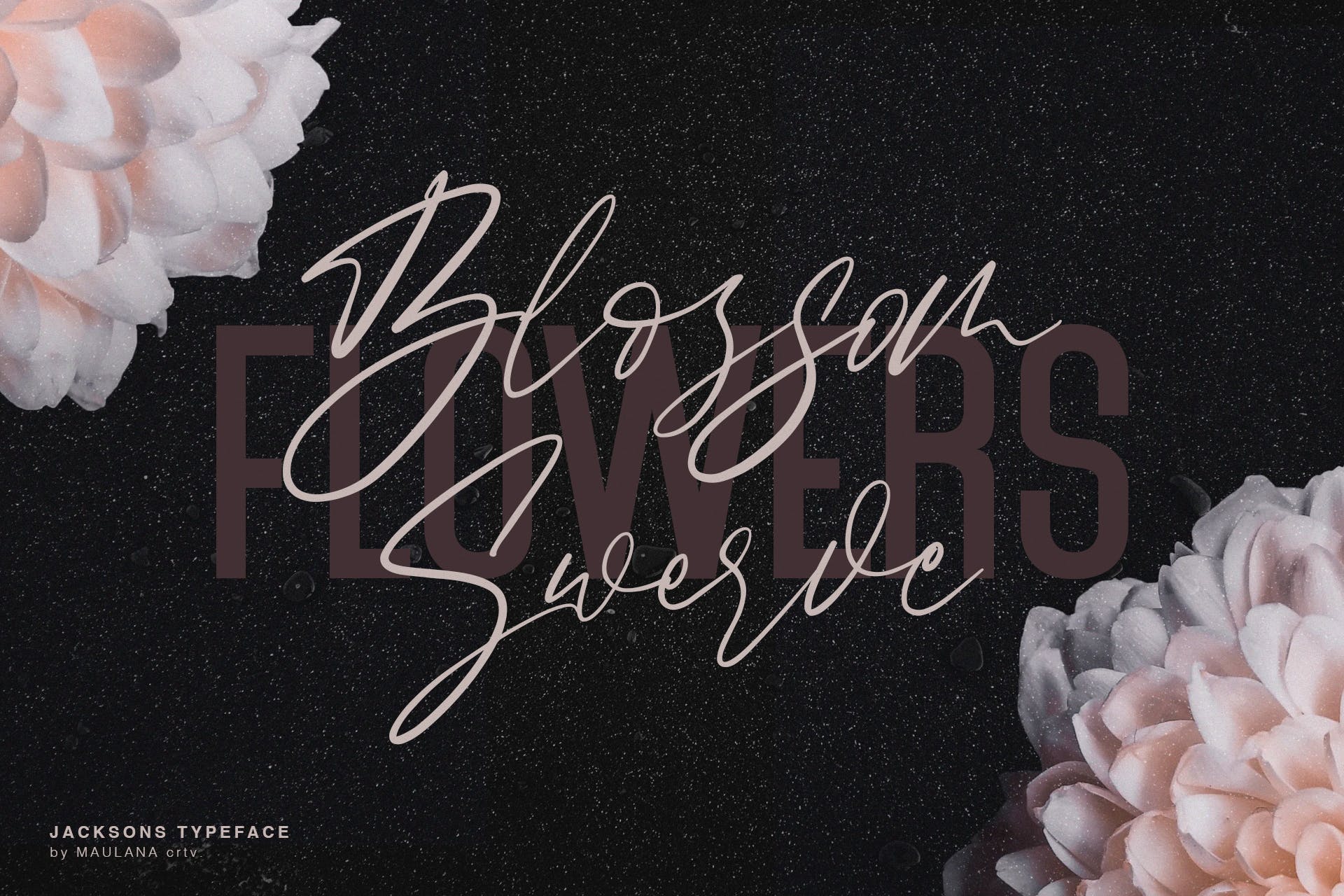 飘逸英文连字书法/无衬线二重奏设计字体 Jacksons Font Duo插图(4)