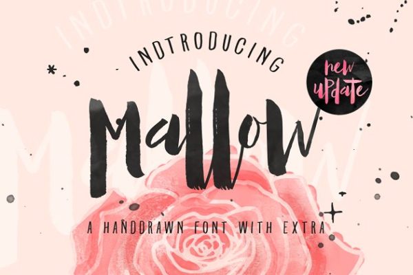 手写英文字体、笔刷&amp;矢量图形 Mallow Typeface &amp; EXTRA Mockup