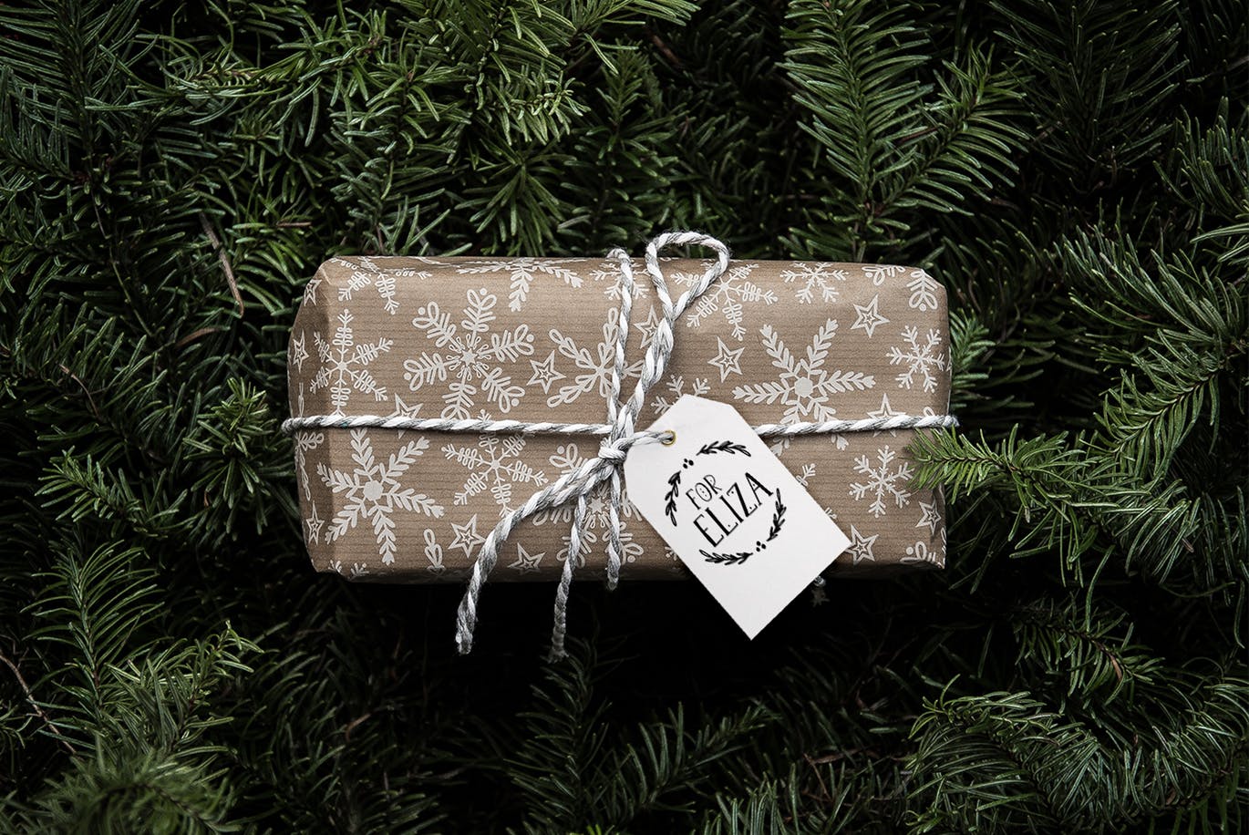 圣诞节主题英文无衬线字体&剪贴画素材 Joyeux Christmas font & clipart插图(1)