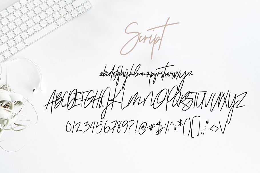 无衬线英文 Logo 字体+Logo 设计模板 Sydney | Font Duo + 12 Free Logos插图(2)