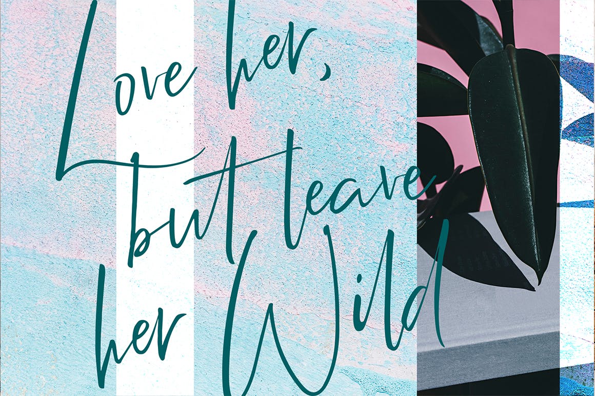 英文手写签名艺术字体 Relion Signature插图(3)