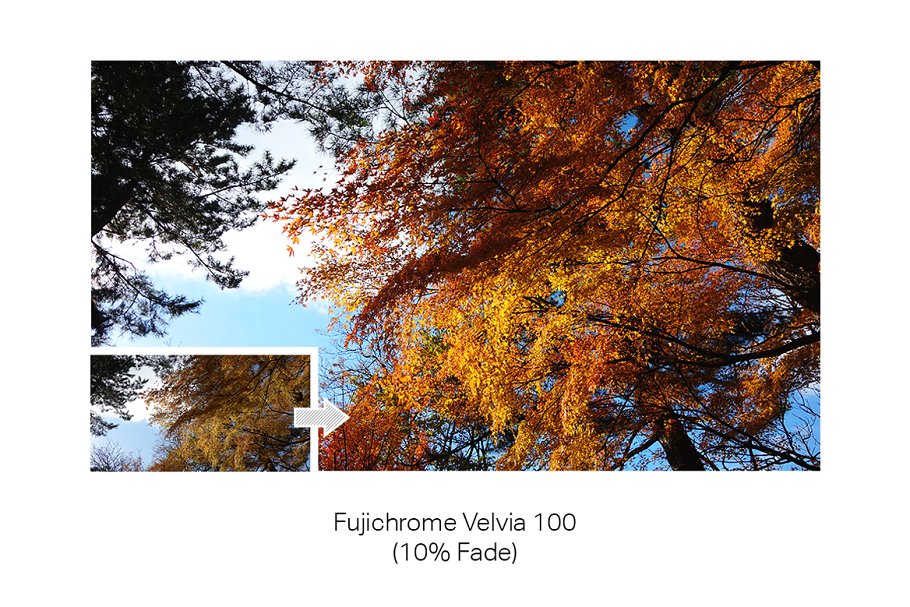 33款专业雾面胶片效果PS动作 33 Pro Matte Film Actions插图(3)