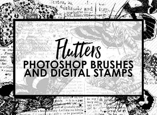 6个高品质的蝴蝶肌理效果PS笔刷下载[ABR]