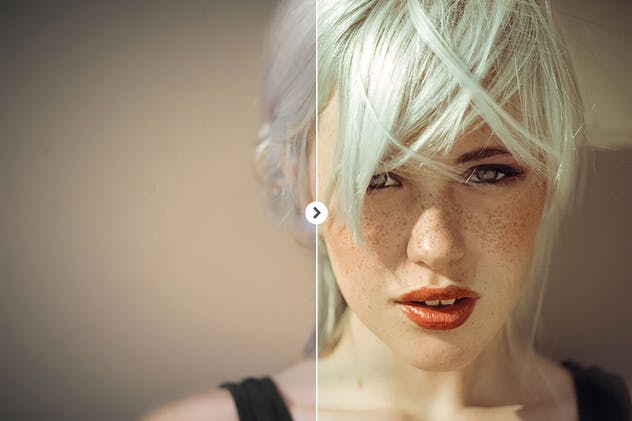 10款人像摄影后期调色滤镜LR预设 10 Portrait Lightroom Presets Ver. 1插图(3)