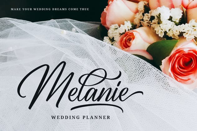 优雅仿真钢笔签名字体下载 Birmingham – Signature Script插图(2)