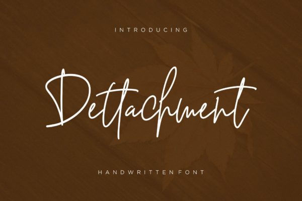 英文钢笔硬笔书法字体下载 Dettachment Handwritten