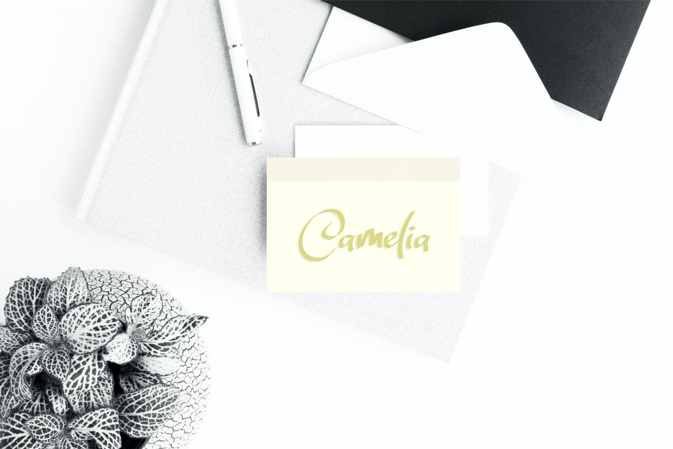 扁头画笔英文笔刷书法字体下载 Zildjan | Script Brush Font插图(2)