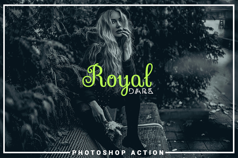 一款皇家黑暗艺术时尚风格PS动作下载插图