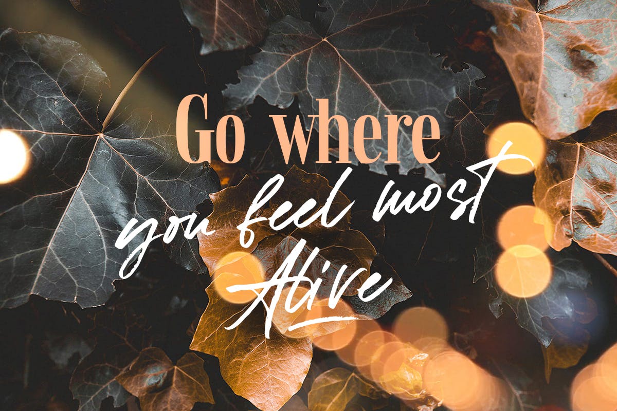 质朴精致英文笔刷手写字体 Formentor插图(6)