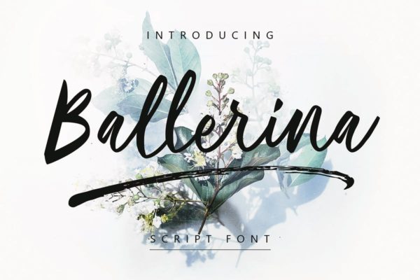 现代优雅书写风格英文手写字体 Ballerina | Script Font MS