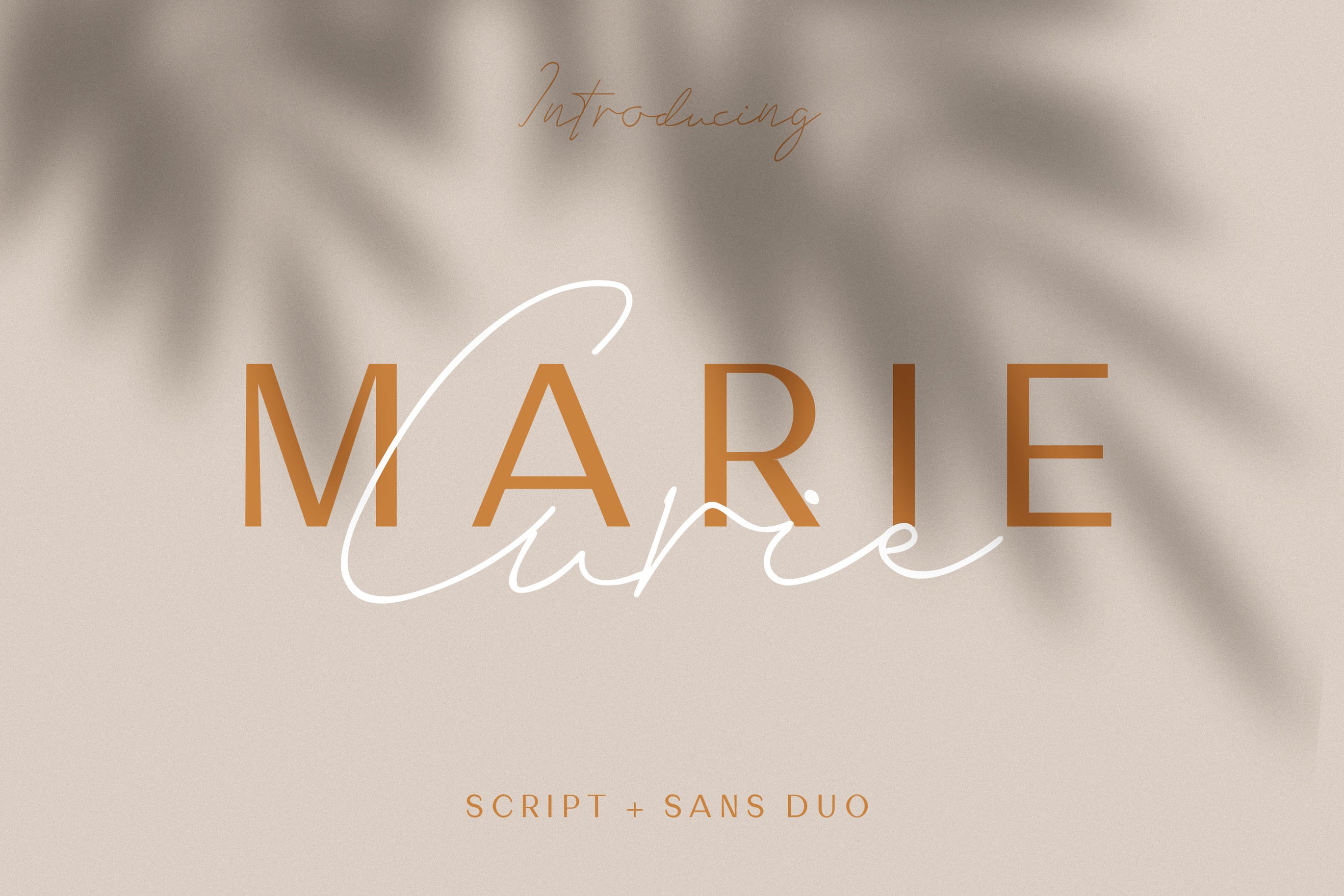 英文钢笔草书书法字体&无衬线字体合集 Marie Curie – Sans & Script插图