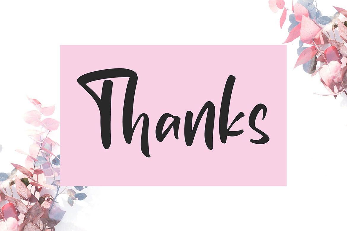 签名/品牌设计适用的英文书法字体 Santhany – Handwritten Typeface插图(4)