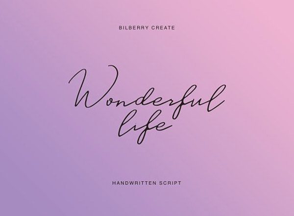 一款流畅优雅的手写字体 Wonderful life script