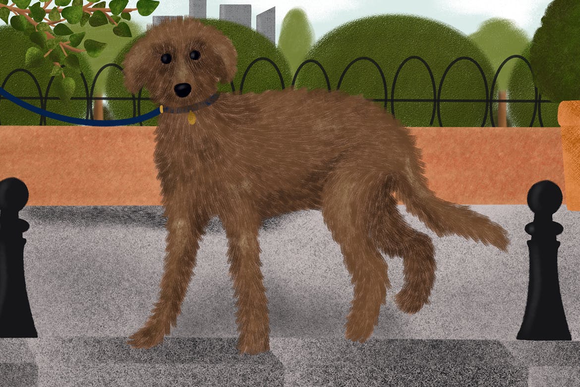 20种超级多功能Procreate笔刷合集[铅笔/粉笔/着色器] Natural Brushes for Procreate插图(3)