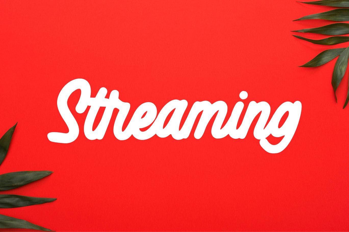 高级品牌设计英文书法字体下载 Netherlande – Elegant Script插图(4)