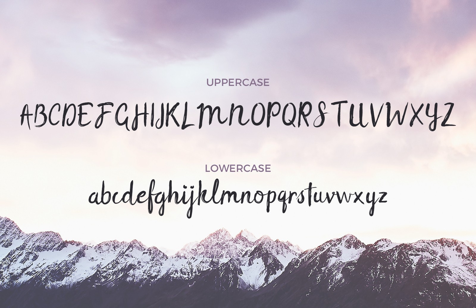 免费手绘草书英文字体 Lilly: Free Brush Script Font插图(1)