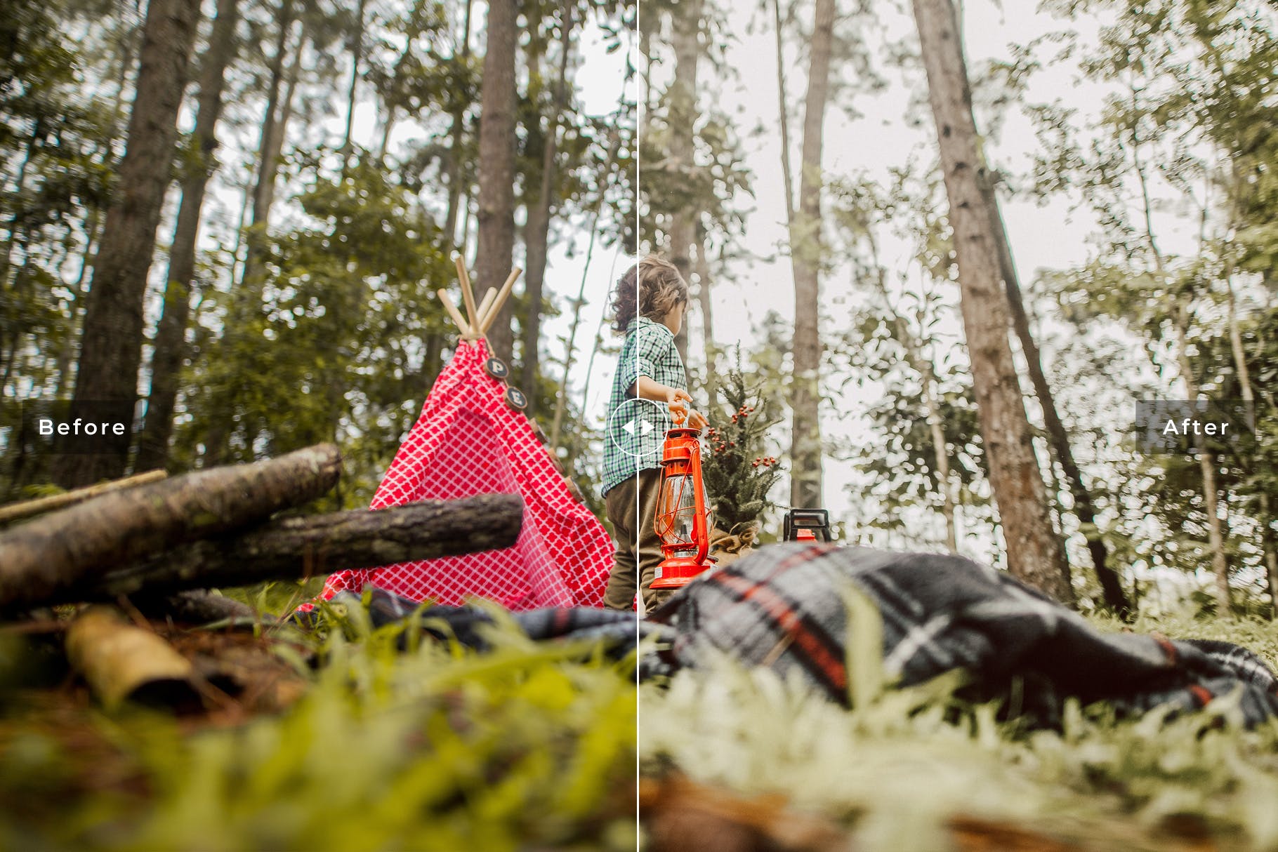 森林/树林摄影必备的LR调色预设 Woodlands Mobile & Desktop Lightroom Presets插图(2)