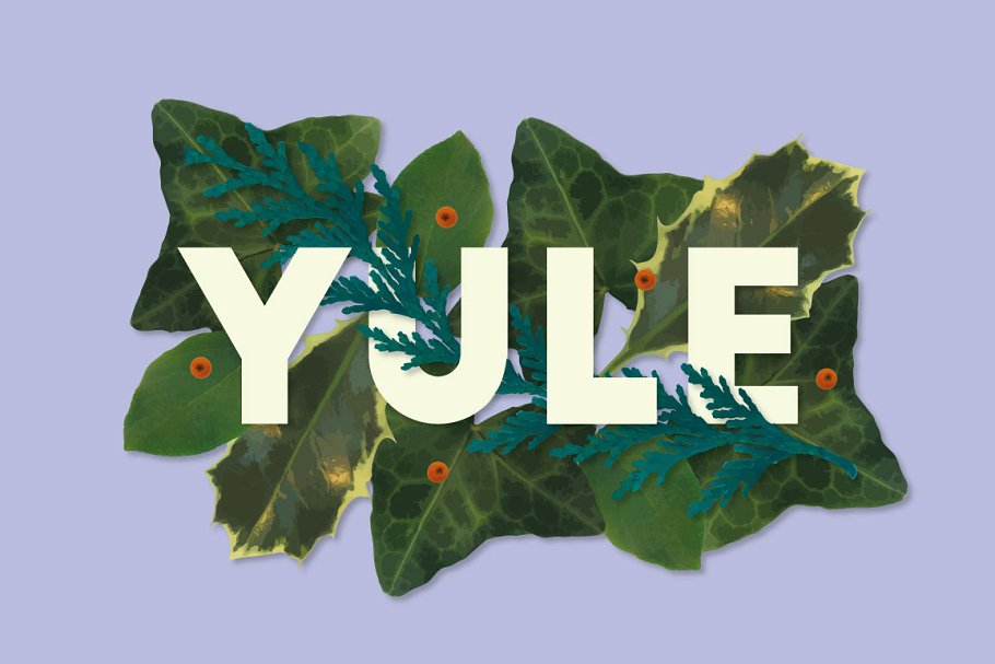 圣诞节矢量花卉AI笔刷 The Vector Florist – Brushes: Winter插图(2)