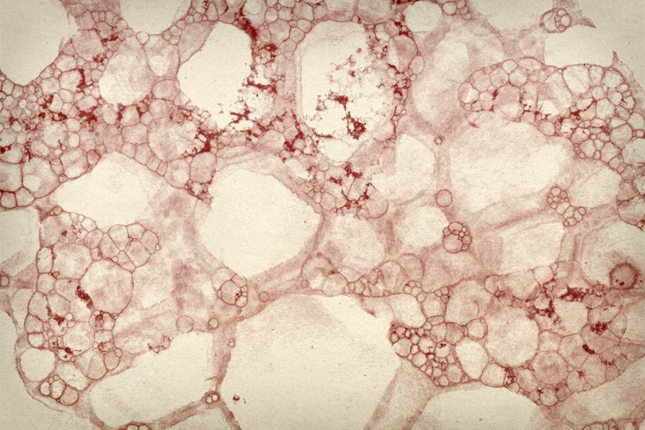 墨水泡泡纹理PS笔刷 Bubble Textures Brush Pack 1插图(4)