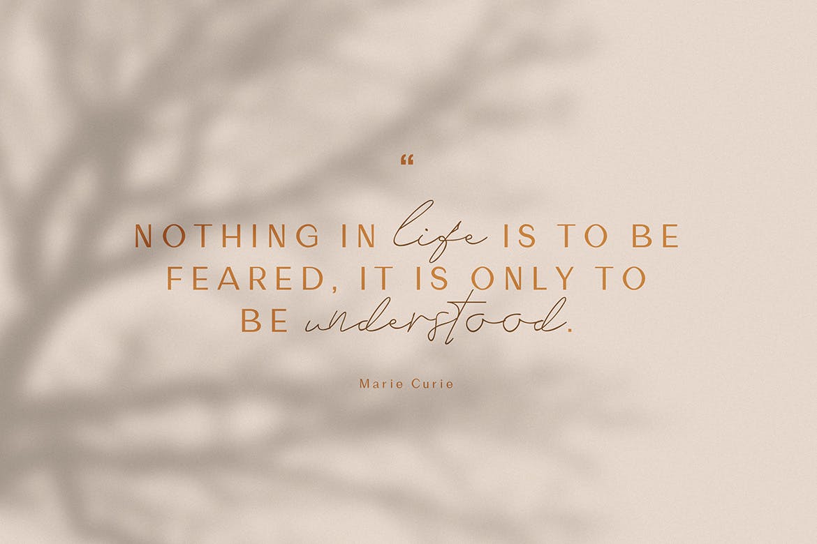 英文钢笔草书书法字体&无衬线字体合集 Marie Curie – Sans & Script插图(3)