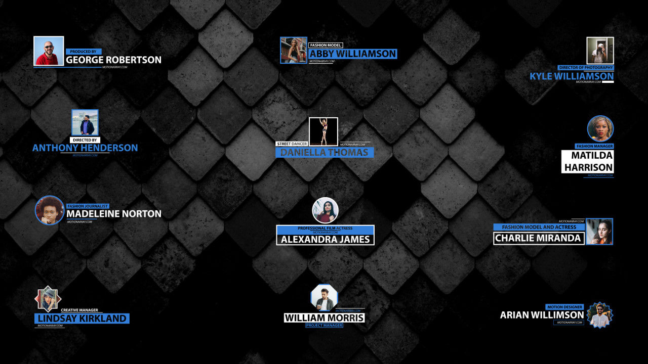 12个专业的下三分之一文本字幕条展示素材库推荐PR模板