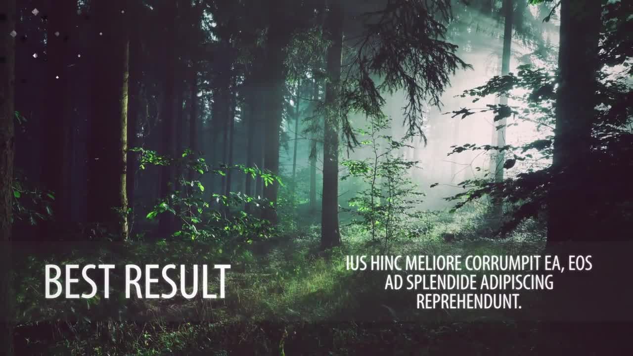 优雅的文本动画活动开场创意过渡素材库精选AE模板