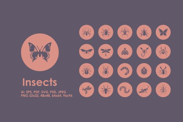 一组常见昆虫图标 Insects icons